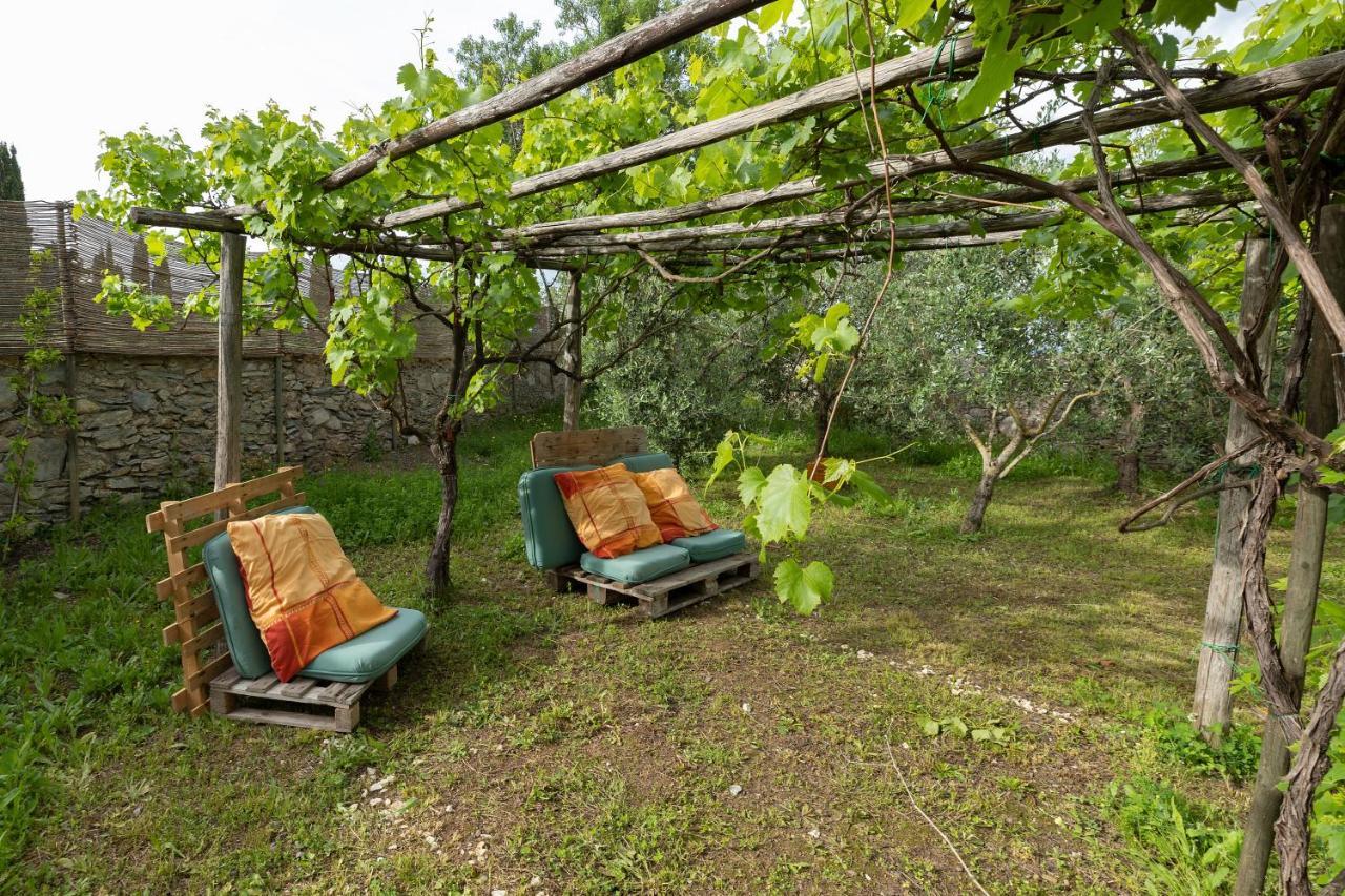 Hotel Casale Rosmarino Suvereto Exteriér fotografie